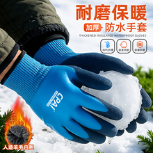 �@ˇ���ױ�ů����������ĥ�����ӽq�Ӻ���̷�ˮ�����N���Nֲ�β�