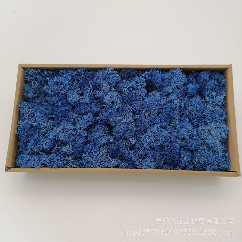 Musgo al por mayor de musgo peso neto 200g caja de regalo flores de musgo eternas accesorios para el hogar tiro ventas directas de la fábrica