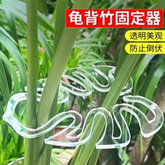 植物の支え、倒れ防止棚、緑植物固定ツール、花棚、植物の支え