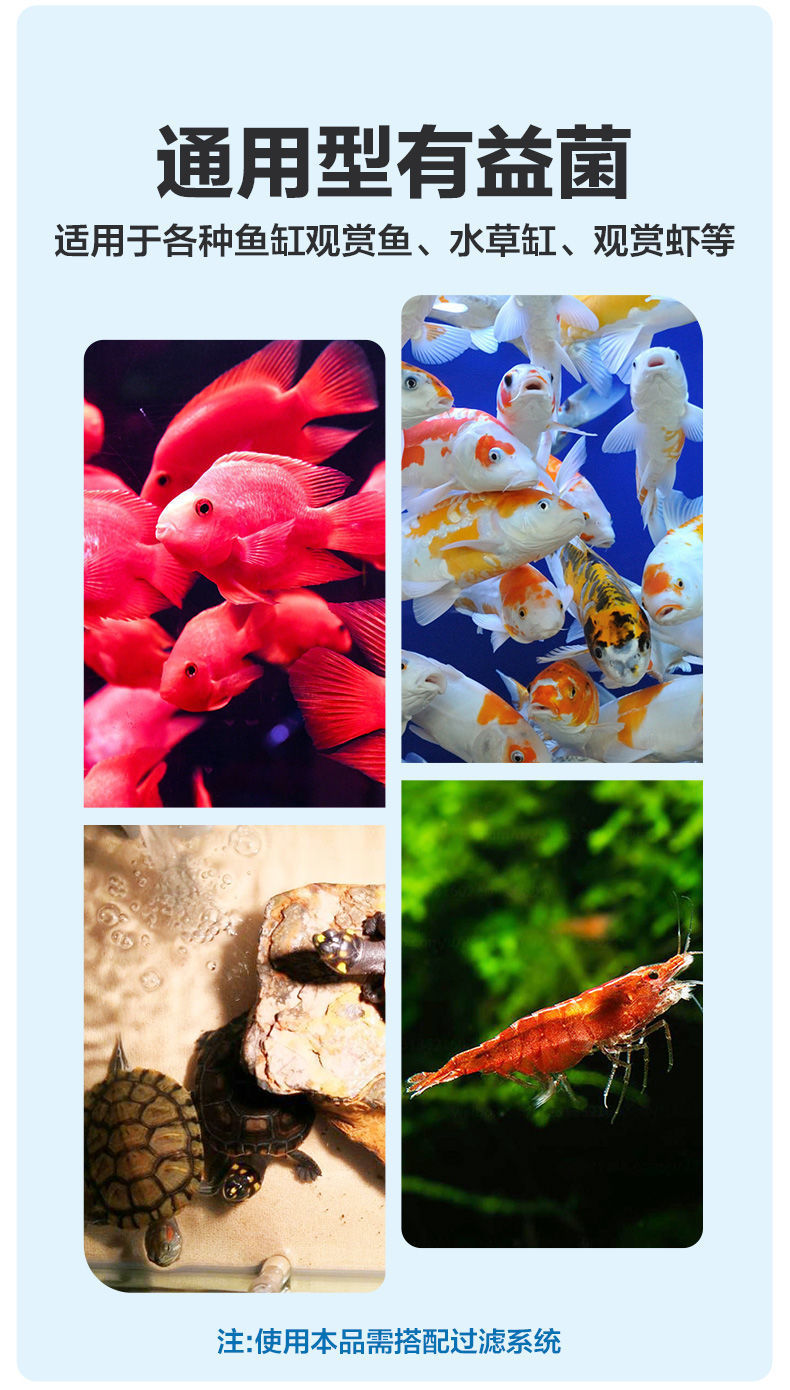 32b9e24a-0ad1-4e3d-8531-392bb836bfd2.jpe