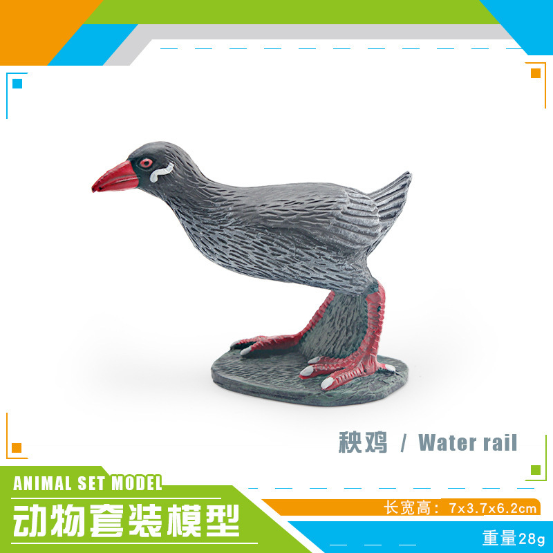 Pl127 - 2311 yangji 28G