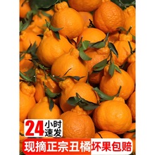 ���ٲ�֪��������r����ˮ���������γ�˹ָ��ٰҰҽ��Ӹ̽�