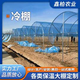 厂家供应温室大棚 蔬菜暖棚日光温室养殖大棚 大棚工程报价大棚管