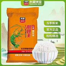 ̫�Z�n�t���r����ܛ��10��20���L�����׼t�����Ϸ���ճ�������׶i