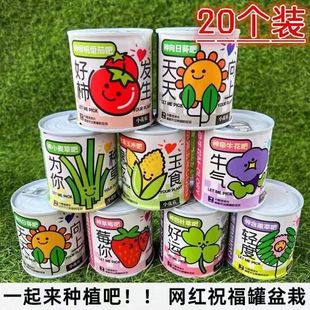 �Nֲ���^����diy�W�t�NֲС���Թ��ӌW������Y�����Թ��b����Ʒ