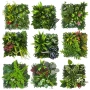 门头仿真室外植物绿植