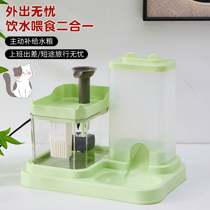 콩 녹색