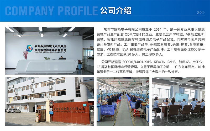 公司介绍盛扬电子_03