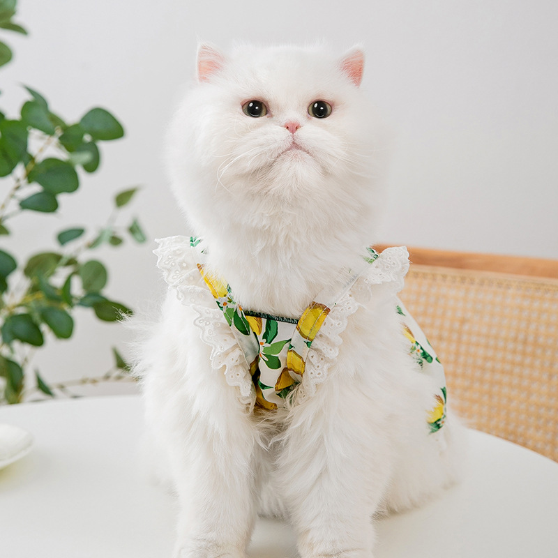 Gato primavera y verano borde de encaje fresco pequeño limón suspender falda verde dulce perro vestido ropa para perros mascotas