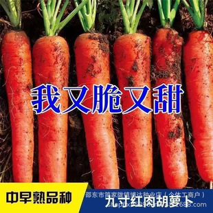 �Ŵ煢�t���}���N���͟Ắˮ���߲��}�������＾�����ļ��t�}���N