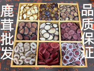 ¹��Ƭ���l ����¹�l�خa ����¹����֦��Ƭ �ݾ��� ÷��¹��Ƭ