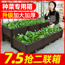 种菜家庭阳台长方形塑料特大家用蔬菜种植箱花盆楼顶花箱