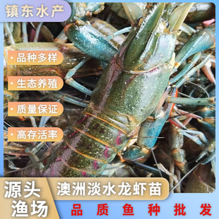 �O���r�����С���r���l���|���޵�ˮС���r�絭ˮ�Bֳ����ʏS��