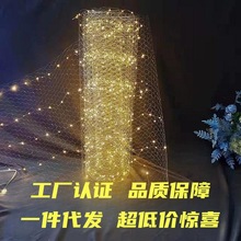 2025��c����LED����M�����F�z�W���������� �ǿվW�̈��������