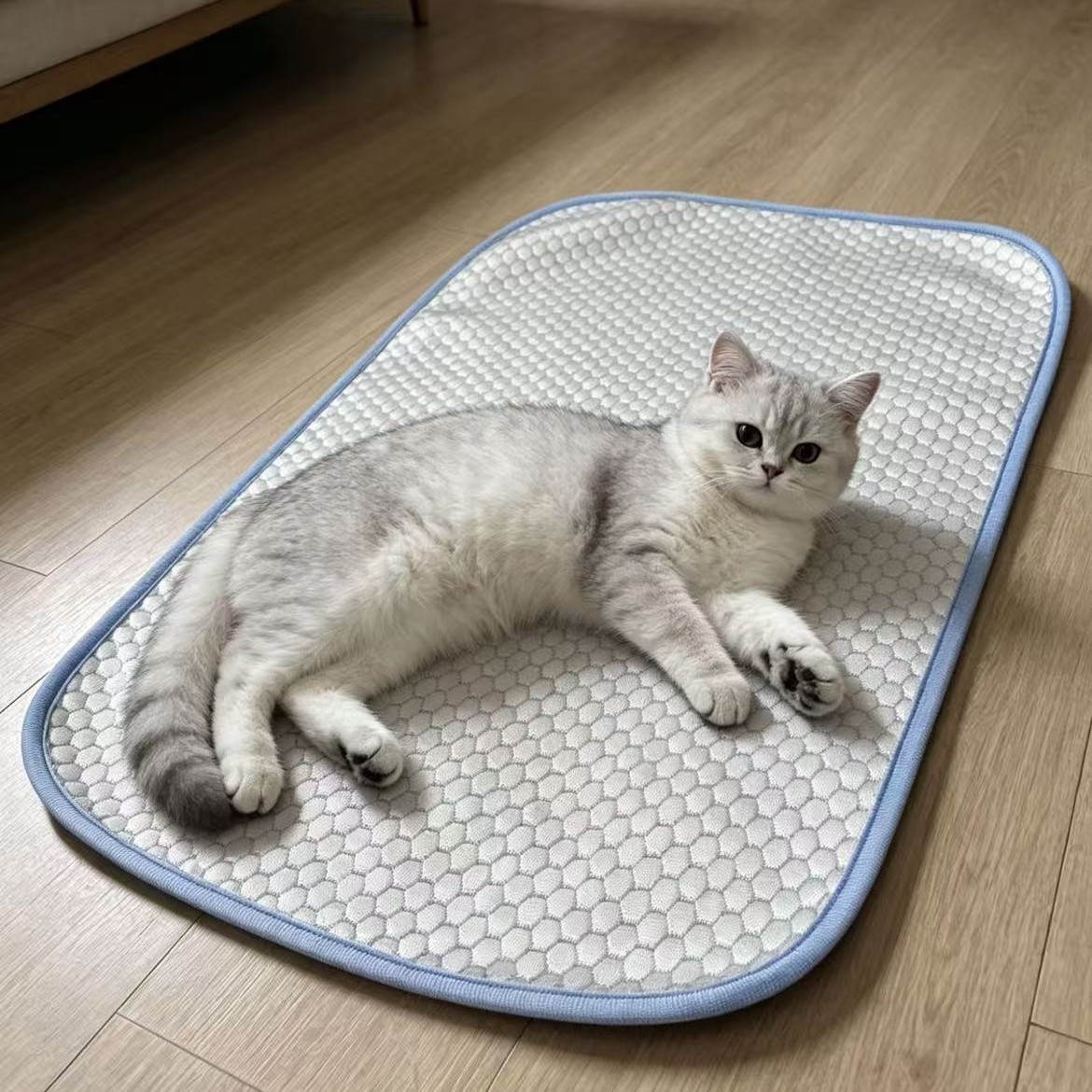 밝은 색의 콩