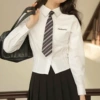Brace, shirt, with embroidery