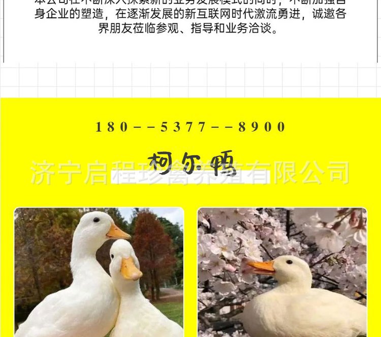 u=603558011,714906180&