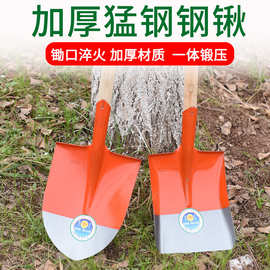 铁锹锰钢全钢加厚木柄钢锹煤锹种花尖方平头锹农用泥锹园林工具