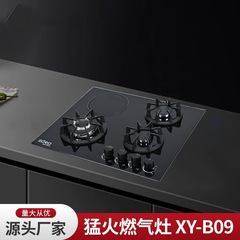 跨境出口四头燃气灶四眼灶嵌入式天然气灶液化气煤气灶台
