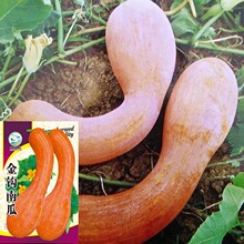 �����h�ϹϷN���S�����揝�Ϲ����ļ�����@ͥԺ�̨�߲˷N�ӹ�˾