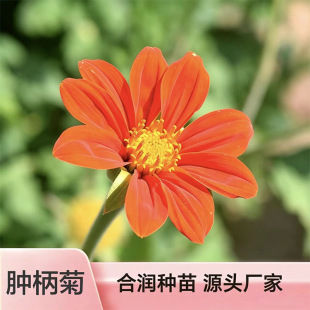 �[���շN���S���^�p�չ����o�»ĵظ���ͥԺ�����G���N�ӬF؛����