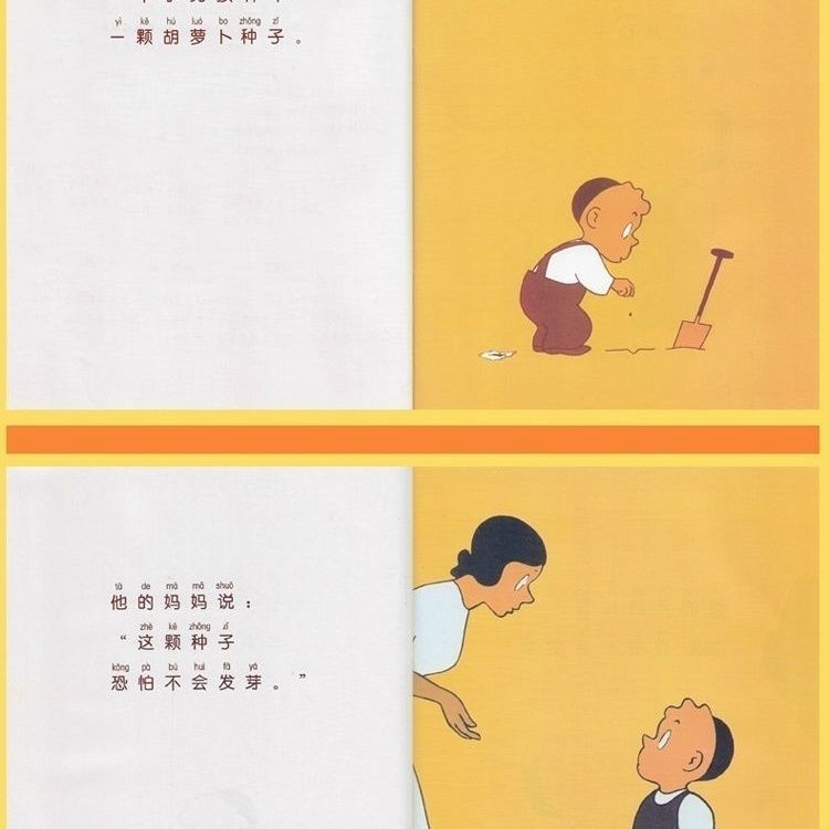 Carrot book with pictures for students