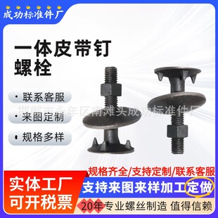 Ƥ����˨ �����C�϶��ݽz һ�wƤ����ζ��z�����ݽz�S��m6M8M10