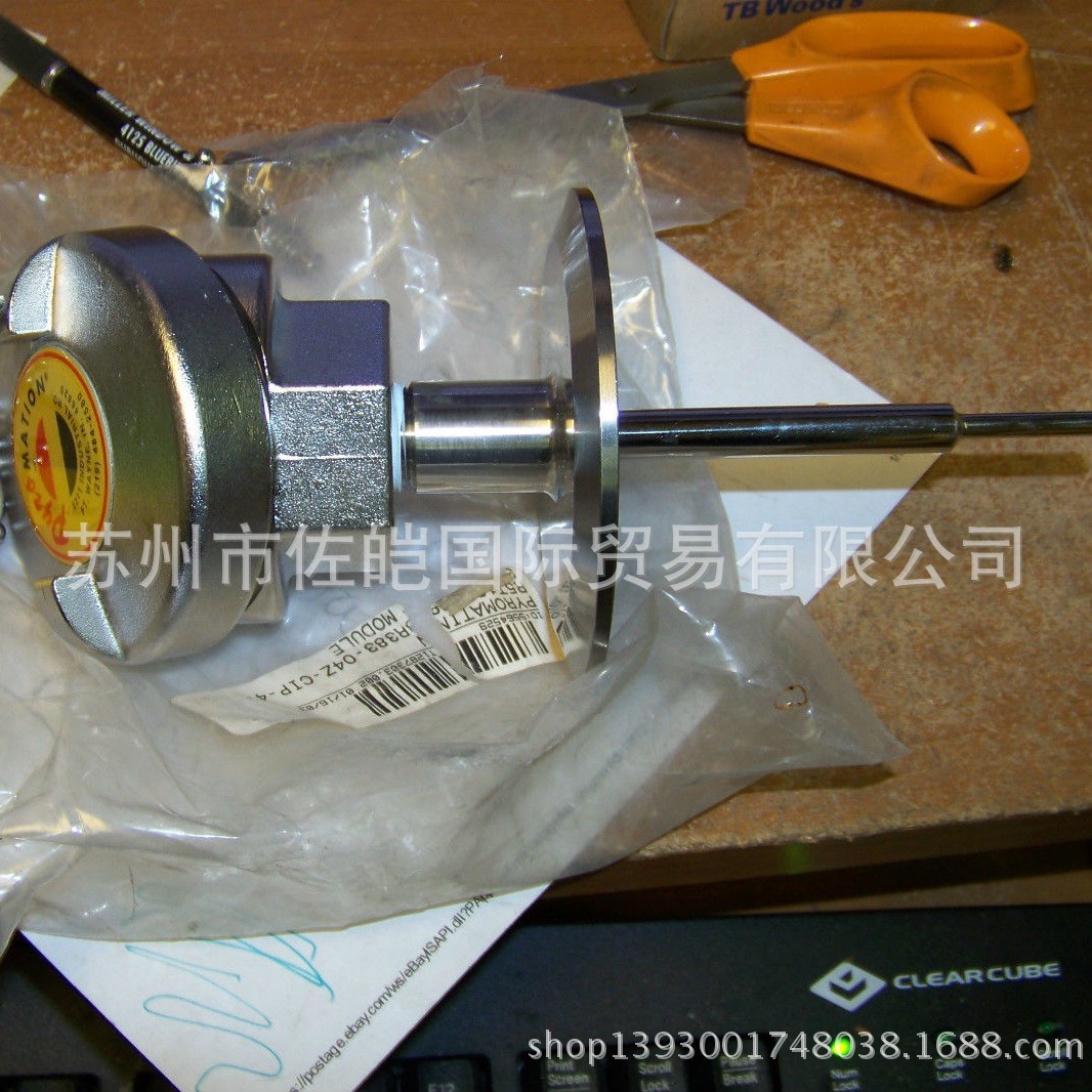 PYROMATION品牌R1T285型号PT100热电阻 温度传感器 供应