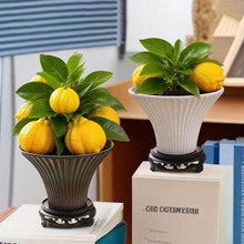 ���ָ��бP�����մ�ˮ���[�ŶU���L��ʽ���L̦�\ާ�������[��