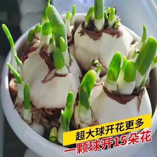 ˮ�ɻ��N������ˮ���҃��ļ�ˮ�B������ˮ�ɾGֲ�������_��ֲ��o