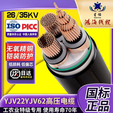 YJV22��|���˼��~YJV62�~о�z�b1о 3о26/35kv�߉����������|