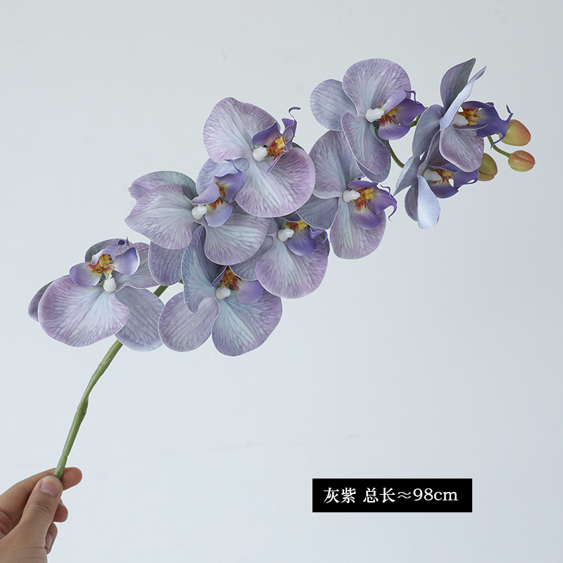 회색 보라색