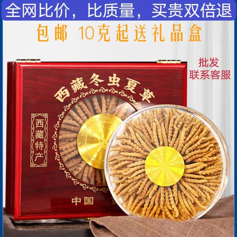 西藏冬虫夏草那曲虫草干货高海拔虫草断草冬虫夏草源头批发代发