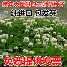 �����~�ݷN�Ӽt���~�ݷN�� ܇�S�����ļ����ƺ���ݷN�ӾG�ʰ��]