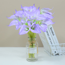 6̖�R��ɏ�������羳���Npu�R��ɏ���滨�Ҿ�����ٻ�EVA�R��ɏ