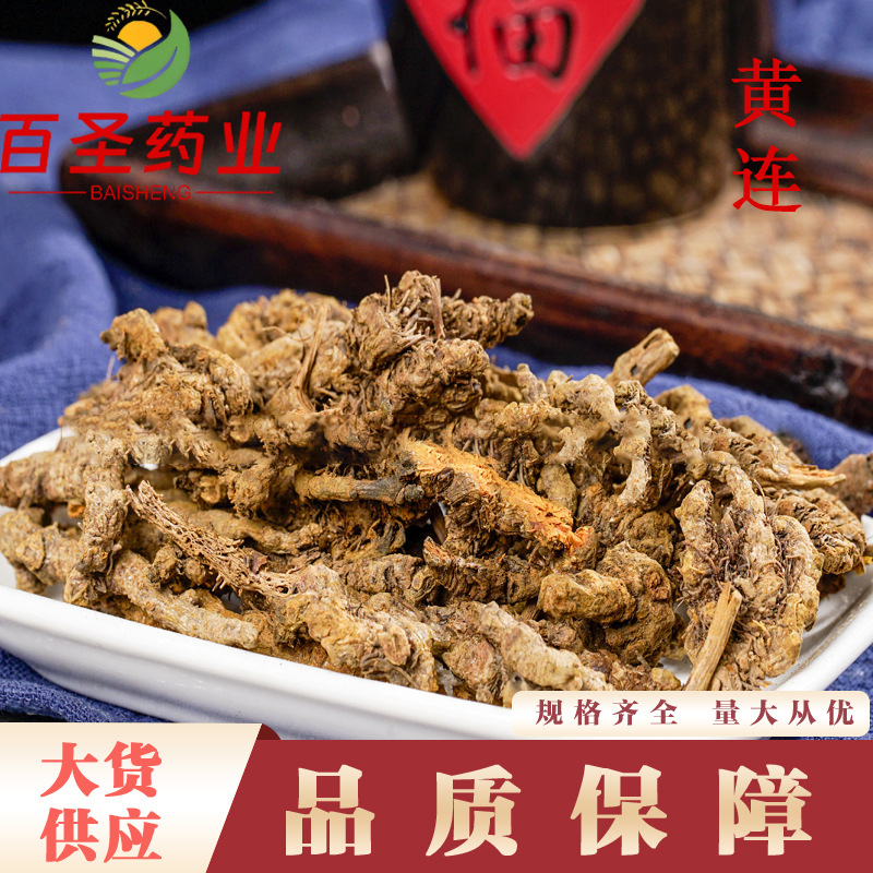 黄连黄连批发 单支连 鸡爪连 产地货源 当季新货量大从优产地直销