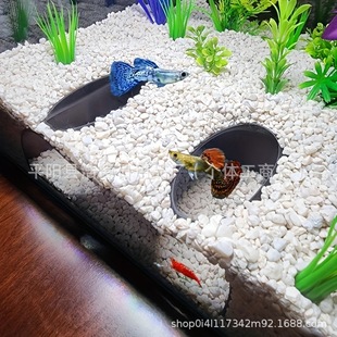Double-open aquarium tunnel cave-natural curve hiding place for fish and shrimp Large aquarium decoration