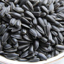 油葵黑珍珠小瓜子优质新货油磕五香瓜子鸟粮油葵生瓜子葵花子