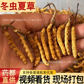 其他药食同源;陈皮;代用/养生茶