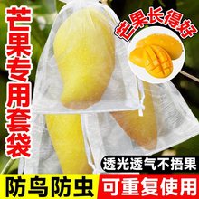 芒果套袋尼龙网袋葡萄桃子枇杷瓜水果防虫鸟保护袋罩