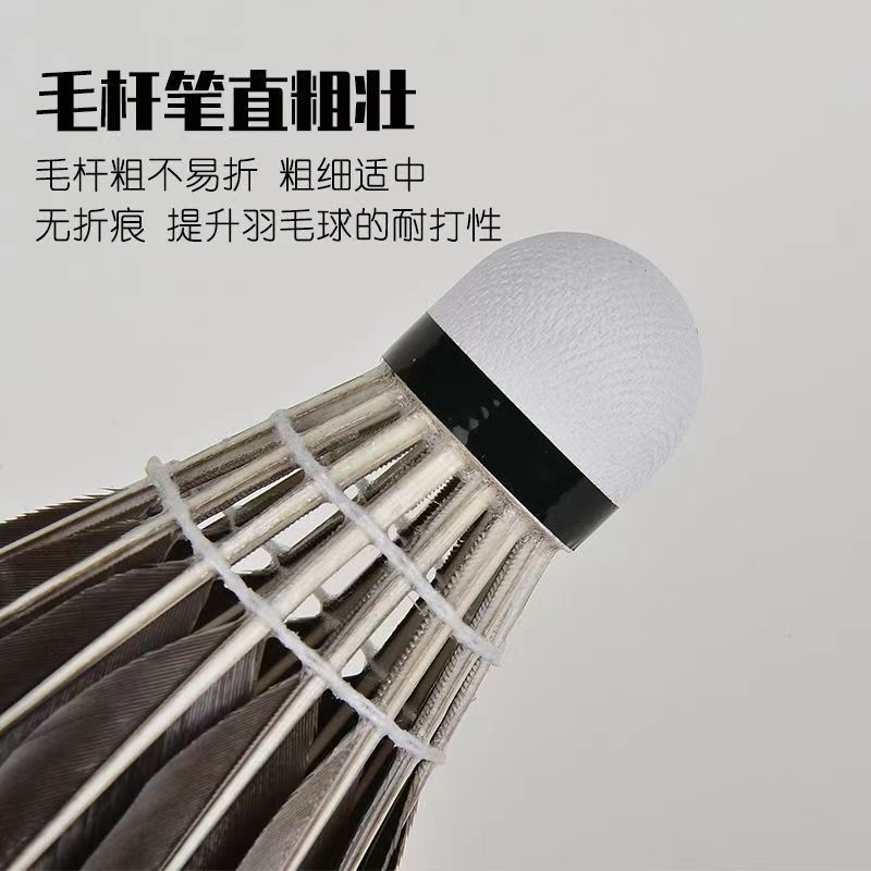 6d4966fd-3189-415a-88b1-5317d7e7e2bf.jpe