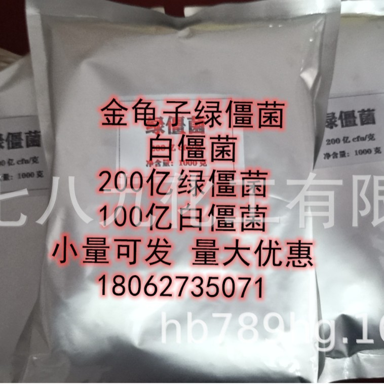 有机种植用白僵菌武汉  绿僵菌 白僵菌 200亿绿僵菌 100亿绿僵菌
