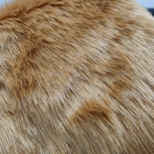 �F؛35ë����ɫ�����Lë�q����������^�lβ�̈́������b�}�Q��ˇƷ