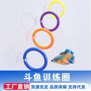 ���~Ӗ���h���b���~չβ����Ӗ���������P��ɫ����Ȧ�羳���l