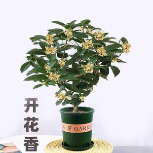 һlļ»׻_Gֲ͏d[ŏSֱN