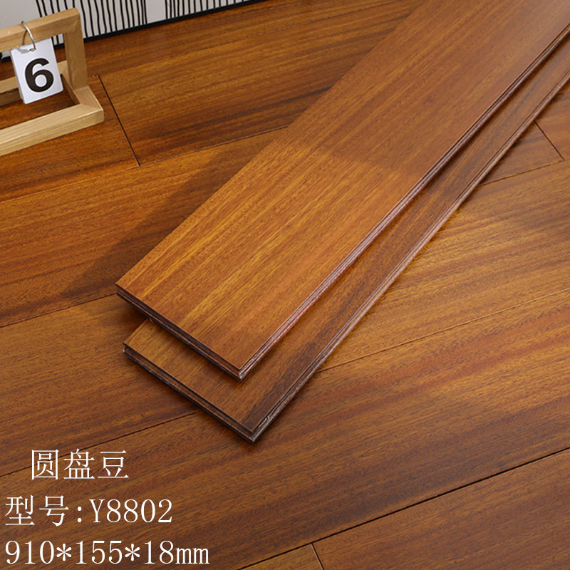 초콜릿 컬러 디스크 콩 Y8802