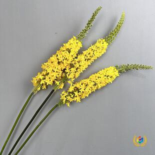 ?���w��ݪ�β�ݴ��P��廨������b��ˇ�����Ƶ�Ҿӿ͏d�b