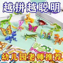 3D趣昆虫立体拼图儿童创意DIY早教手工益智