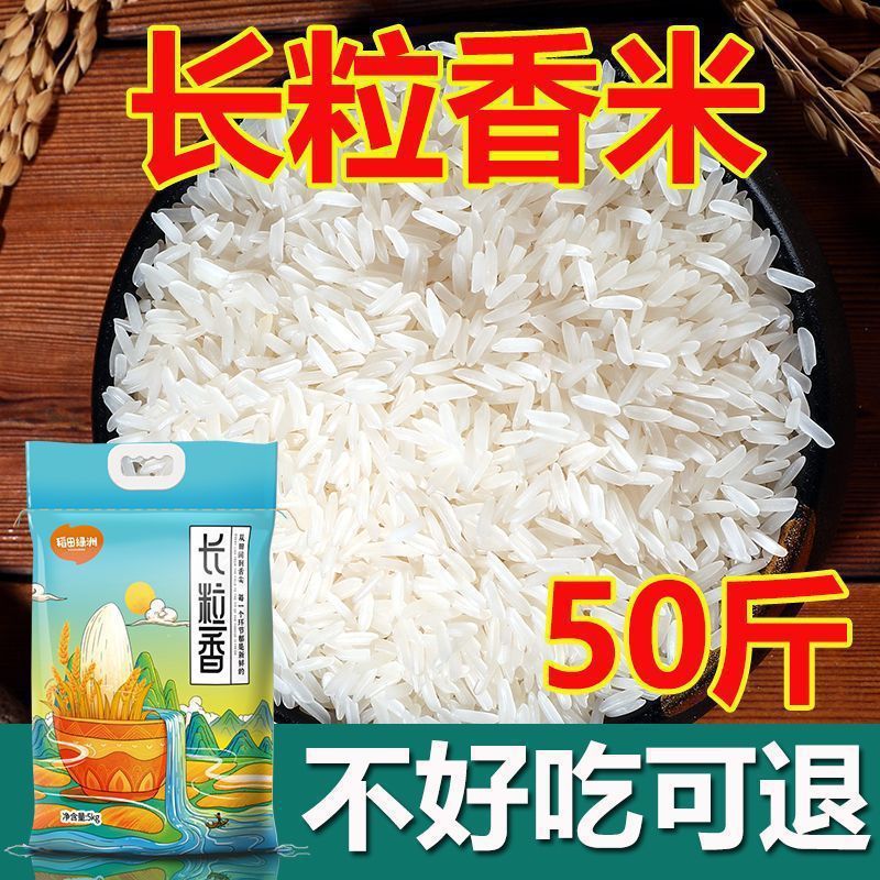20斤长粒香米新米晚稻丝苗米煲仔饭蛋炒饭猫牙米煮饭10大米批发|undefined