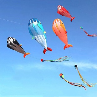 �H���L�~ܛ�w�L�~�L�~�羳��ͯ�L�~���w���L�L�~���Qܛ�w�����L�~